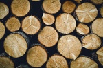 Биржевые торги древесиной