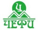 ООО "ЧЕФИ"